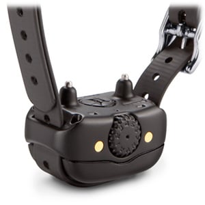 BarkLimiter™ Deluxe - Image 4